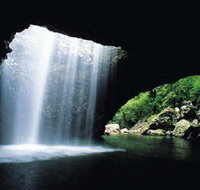 Natural Bridge Springbrook National Park - Yamba Accommodation