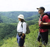 Sunshine Coast Hinterland Great Walk - Yamba Accommodation