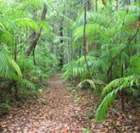 Delicia Road Conservation Park - Yamba Accommodation