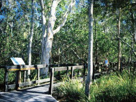 Kinaba Track - Yamba Accommodation 0