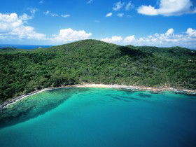 Noosa Heads Coastal Track - Yamba Accommodation 0