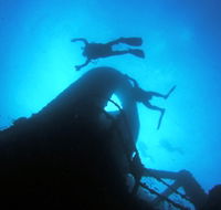 Ex HMAS Brisbane Dive Site - Yamba Accommodation