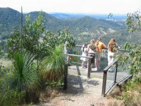 Mapleton Forest Reserve - Yamba Accommodation 0