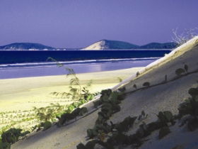 Cooloola, Great Sandy National Park - Yamba Accommodation 0
