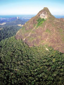 Mount Beerwah Track - Yamba Accommodation 0