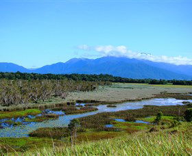 Eubenangee Swamp National Park - Yamba Accommodation 0
