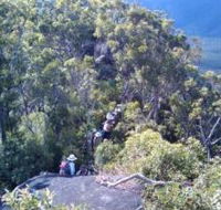 Mia Mia State Forest - Yamba Accommodation