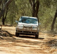 Ward River 4x4 Stock Route Trail - Yamba Accommodation