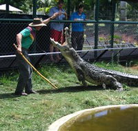 Snakes Downunder Reptile Park and Zoo - Yamba Accommodation