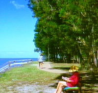 Melaleuca Track - Yamba Accommodation