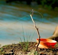 Charleville - Mangalore Warrego River Fishing Spot - Yamba Accommodation