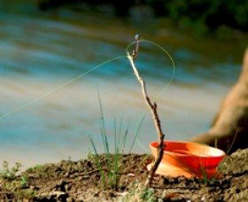 Charleville - Mangalore Warrego River Fishing Spot - Yamba Accommodation 0