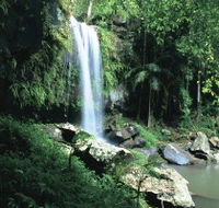 Curtis Falls Joalah Section - Yamba Accommodation