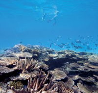 Australian Institute of Marine Science - Yamba Accommodation