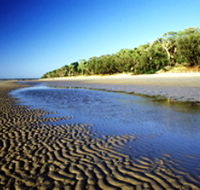 Burrum Coast National Park - Yamba Accommodation