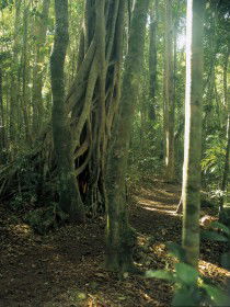  Yamba Accommodation