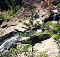 Banksia Track and the Boardwalk - Yamba Accommodation