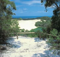 Lake Wabby Track - Yamba Accommodation