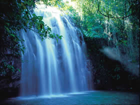 Zillie Falls - Yamba Accommodation 0