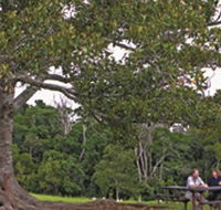 Ravensbourne National Park - Yamba Accommodation