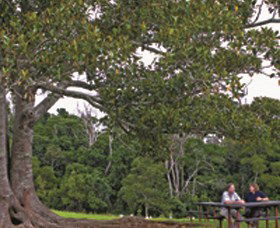 Ravensbourne National Park - Yamba Accommodation 0