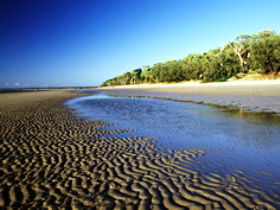 Kinkuna Section - Yamba Accommodation 0