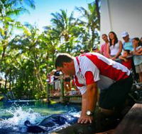 The Living Reef on Daydream Island - Yamba Accommodation