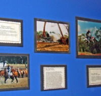 Town Hall Photographic Display - Yamba Accommodation