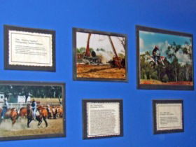 Town Hall Photographic Display - Yamba Accommodation 0