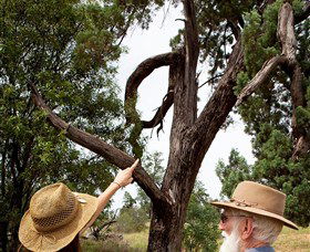 Charleville - Outback Native Timber Walk - Yamba Accommodation 0