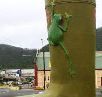 Golden Gumboot - Yamba Accommodation