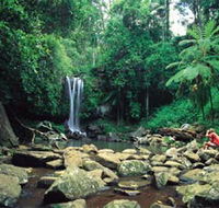 Tamborine National Park - Yamba Accommodation