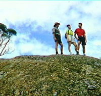 Coongarra Rock - Yamba Accommodation