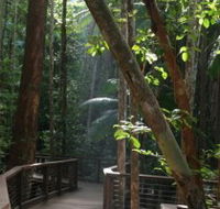 Basin Lake Track - Yamba Accommodation