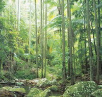 Python Rock - Yamba Accommodation