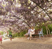 Laurel Bank Park - Yamba Accommodation