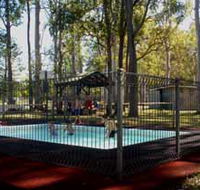 Teddington Weir and Picnic Reserve - Yamba Accommodation