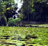 Queens Park Waterfall - Yamba Accommodation