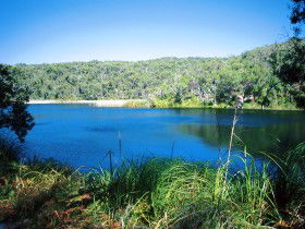 Karboora Track - Yamba Accommodation 0