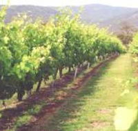 Girraween Estate - Yamba Accommodation