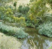 Yarrambat Park - Yamba Accommodation