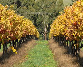 Wild Dog Winery & Restaurant - Yamba Accommodation 0