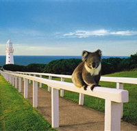Cape Otway Lightstation - Yamba Accommodation