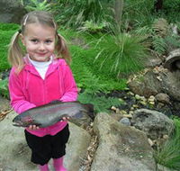 Wild Food Farm  Cafe - Yamba Accommodation