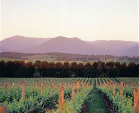 Domaine Chandon - Yamba Accommodation 0