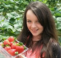 Yarra Valley Gateway Estate - Yamba Accommodation