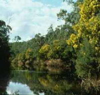 Warrandyte State Park - Yamba Accommodation