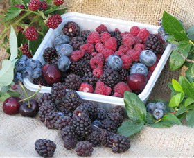 Bright Berry Farms - Yamba Accommodation 0