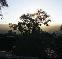 Yarra Flats - Yamba Accommodation