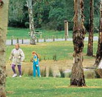 Westerfolds Park - Yamba Accommodation